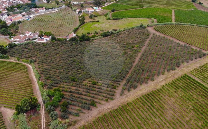 Terreno para Venda em Aldeia Galega da Merceana e Aldeia Gavinha Foto 22
