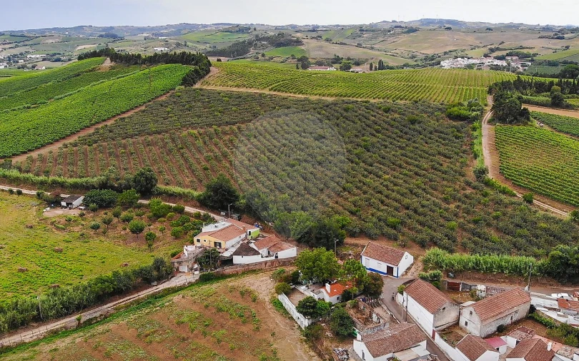 Terreno para Venda em Aldeia Galega da Merceana e Aldeia Gavinha Foto 3