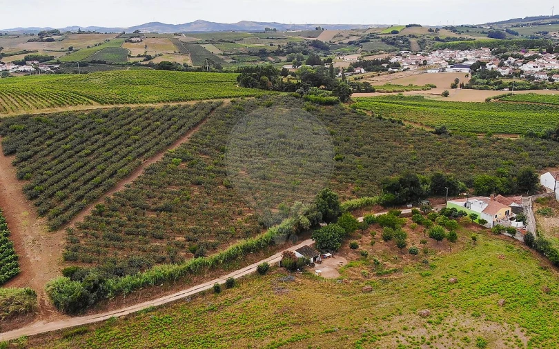 Terreno para Venda em Aldeia Galega da Merceana e Aldeia Gavinha Foto 9