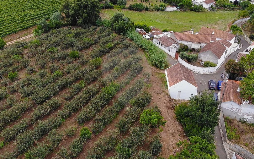 Terreno para Venda em Aldeia Galega da Merceana e Aldeia Gavinha Foto 14