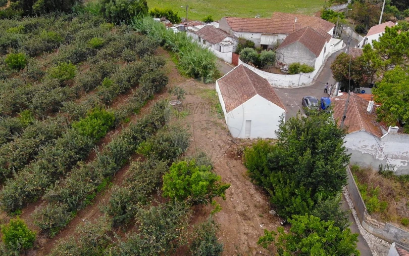 Terreno para Venda em Aldeia Galega da Merceana e Aldeia Gavinha Foto 15