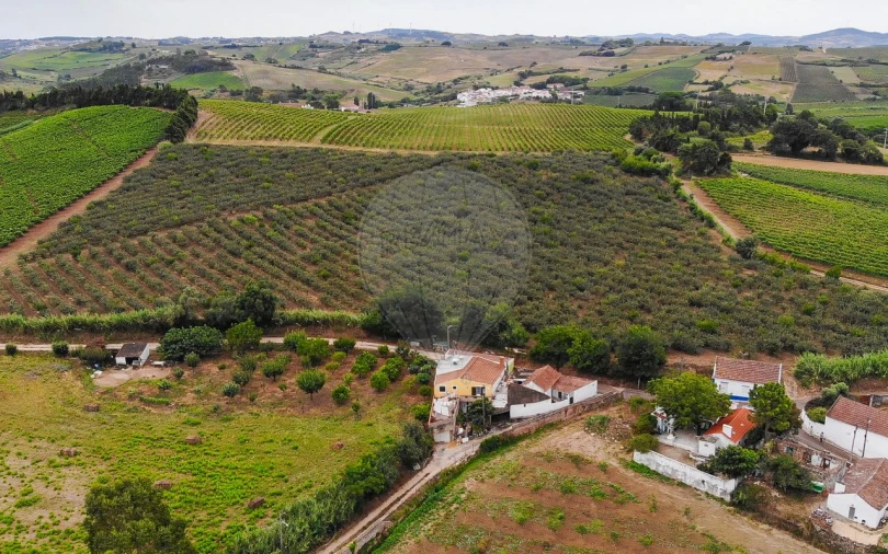 Terreno para Venda em Aldeia Galega da Merceana e Aldeia Gavinha Foto 5