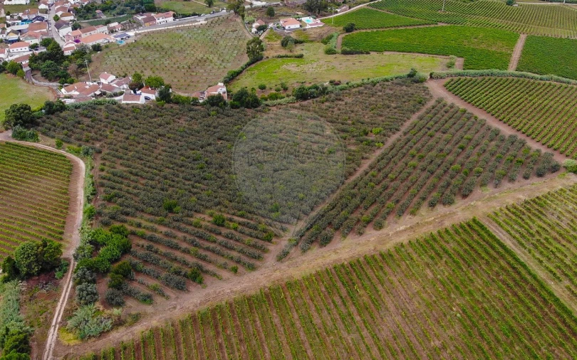 Terreno para Venda em Aldeia Galega da Merceana e Aldeia Gavinha Foto 21