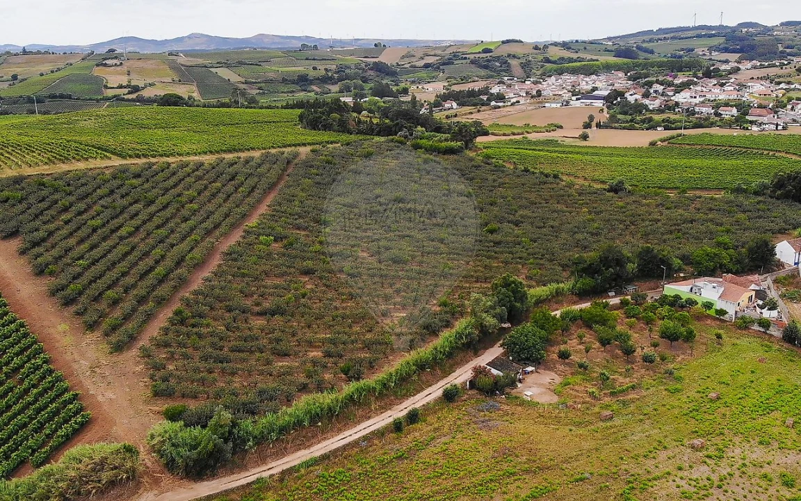 Terreno para Venda em Aldeia Galega da Merceana e Aldeia Gavinha Foto 10