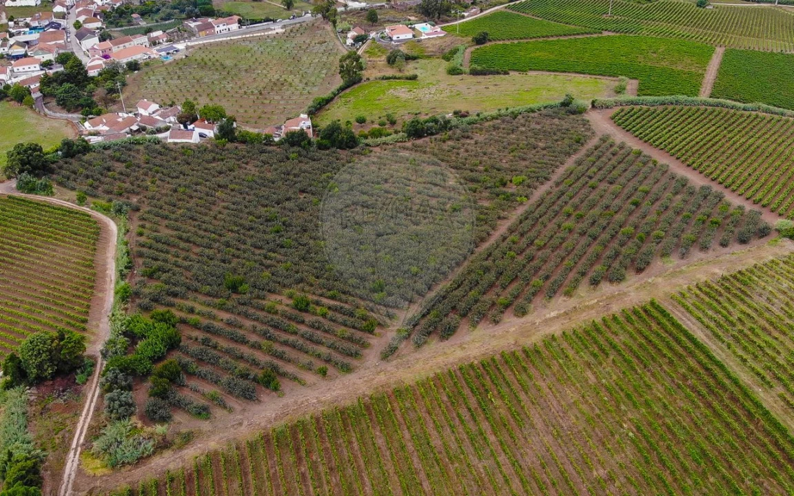 Terreno para Venda em Aldeia Galega da Merceana e Aldeia Gavinha Foto 21