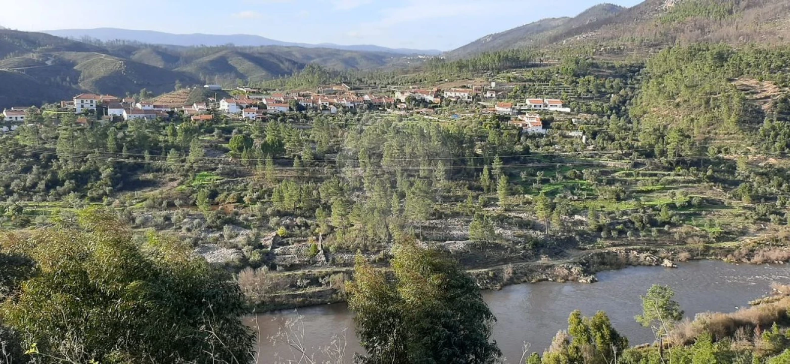 Moradia T4 para Venda em Sobreira Formosa e Alvito da Beira Foto 13