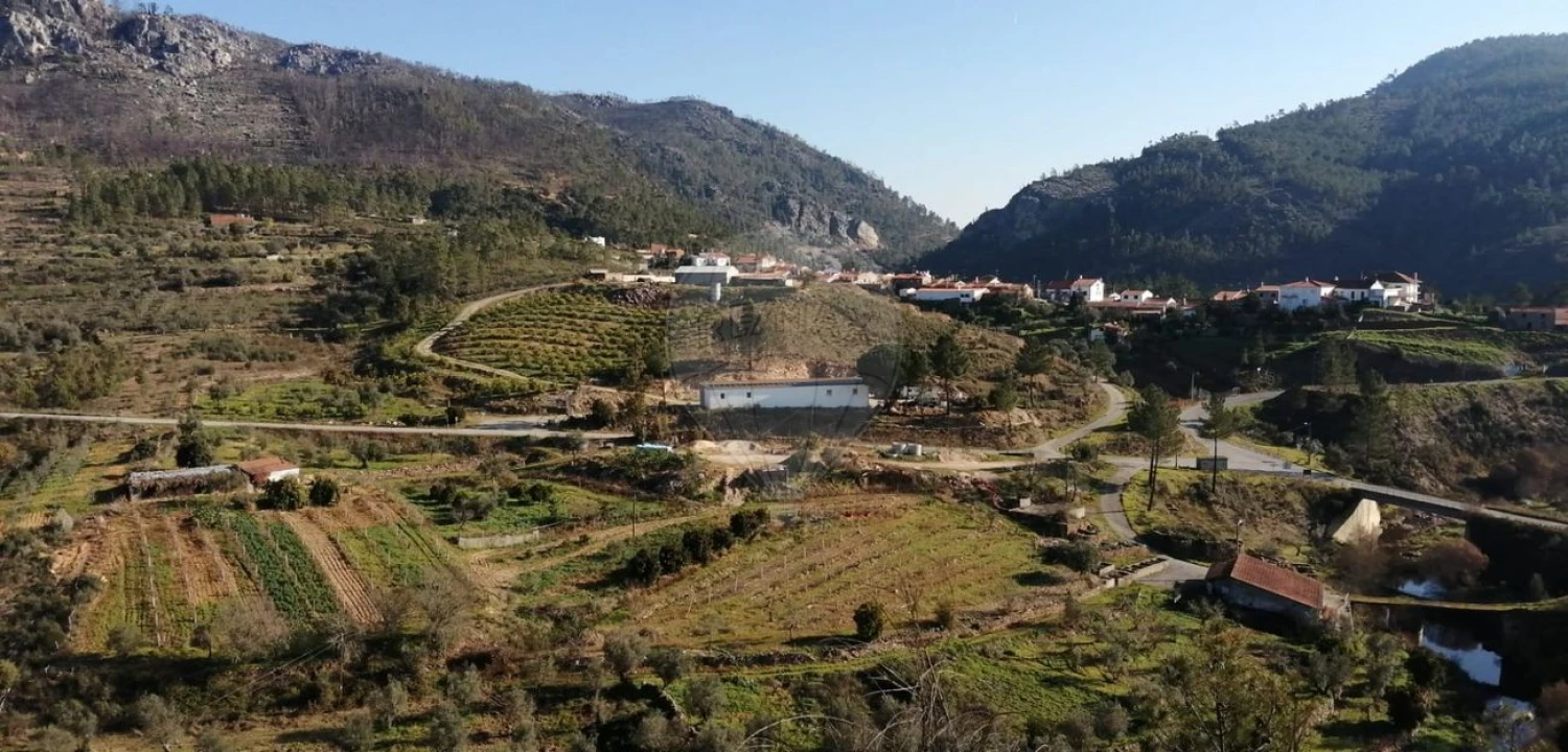 Moradia T4 para Venda em Sobreira Formosa e Alvito da Beira Foto 17