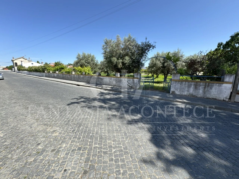 Terreno para Venda em Crato e Mártires, Flor da Rosa e Vale do Peso Foto 6