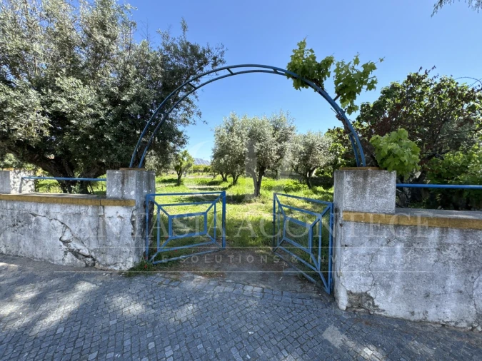 Terreno para Venda em Crato e Mártires, Flor da Rosa e Vale do Peso Foto 5
