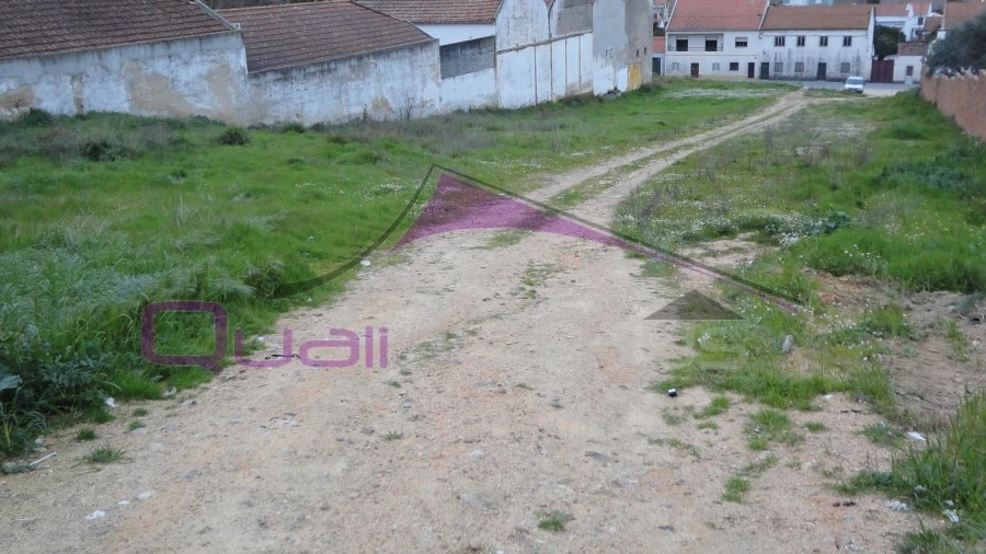 Terreno para Venda em Chamusca e Pinheiro Grande