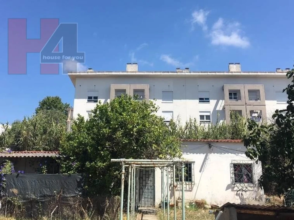 Terreno para Venda em Ajuda Foto 7