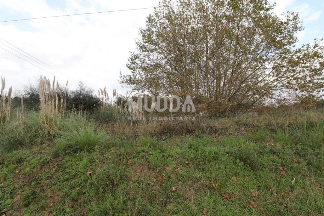 Terreno para Venda em Nogueira da Regedoura Foto 1