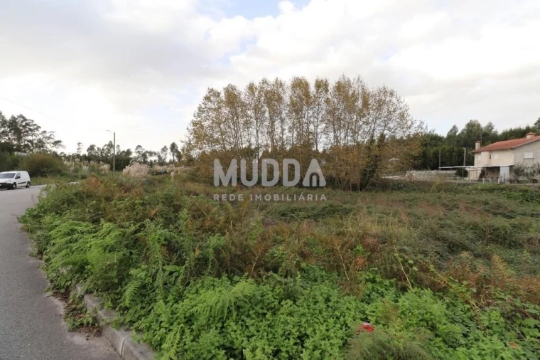 Terreno para Venda em Nogueira da Regedoura Foto 2