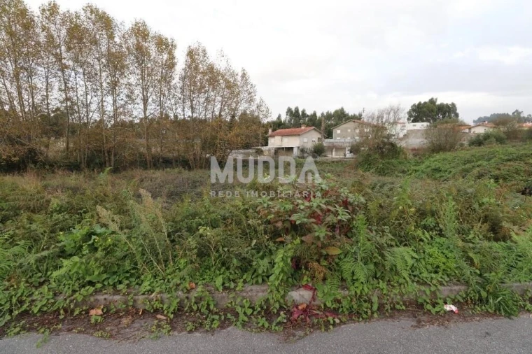 Terreno para Venda em Nogueira da Regedoura Foto 2