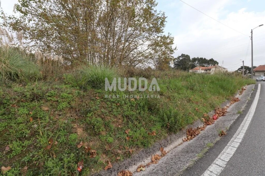 Terreno para Venda em Nogueira da Regedoura Foto 1