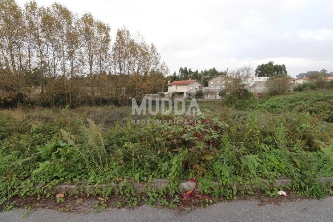 Terreno para Venda em Nogueira da Regedoura Foto 2