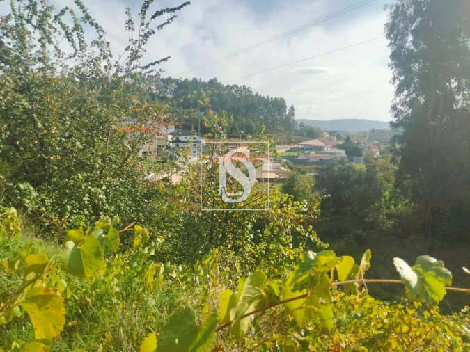 Terreno para Venda em Louredo Foto 6
