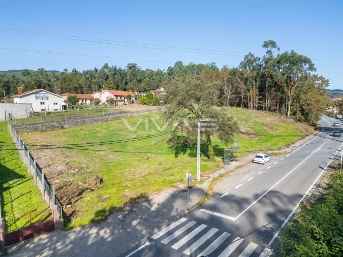 Terreno para Venda em Pico de Regalados, Gondiães e Mós Foto 5