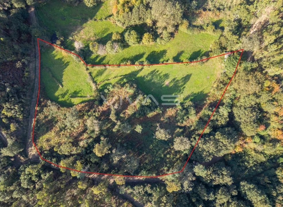 Terreno para Venda em Vade Foto 7