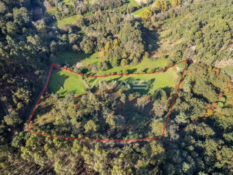 Terreno para Venda em Vade Foto 4