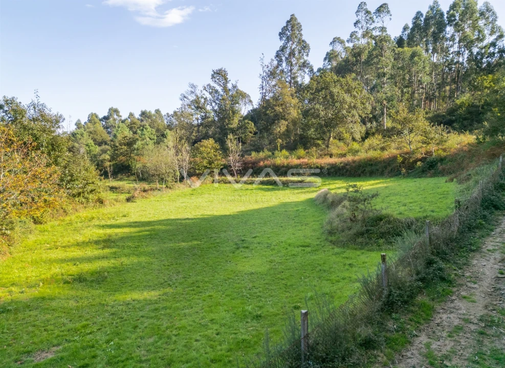 Terreno para Venda em Vade Foto 11