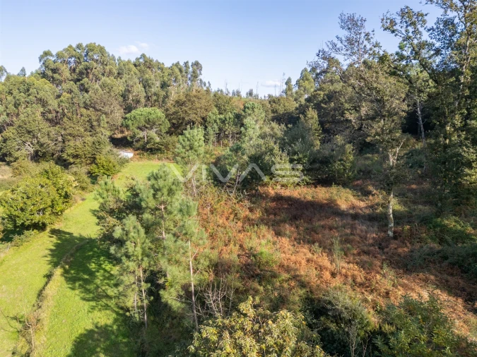 Terreno para Venda em Vade Foto 9