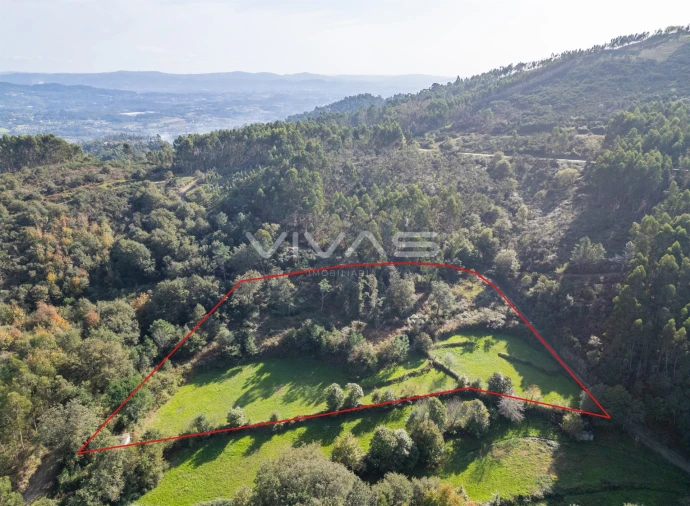 Terreno para Venda em Vade Foto 2