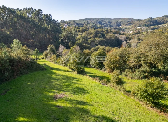 Terreno para Venda em Vade Foto 8