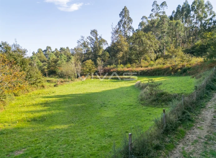 Terreno para Venda em Vade Foto 11