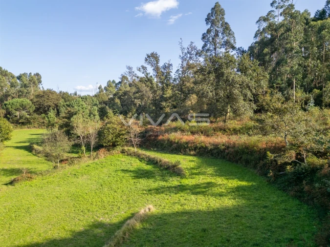 Terreno para Venda em Vade Foto 10