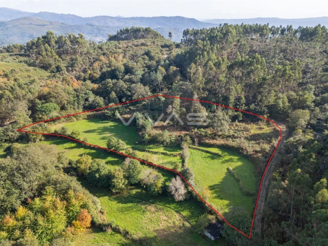 Terreno para Venda em Vade Foto 6