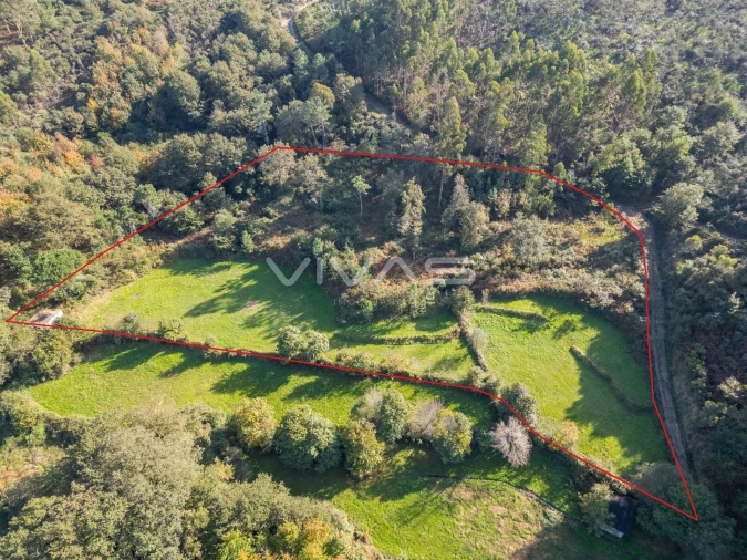 Terreno para Venda em Vade Foto 1