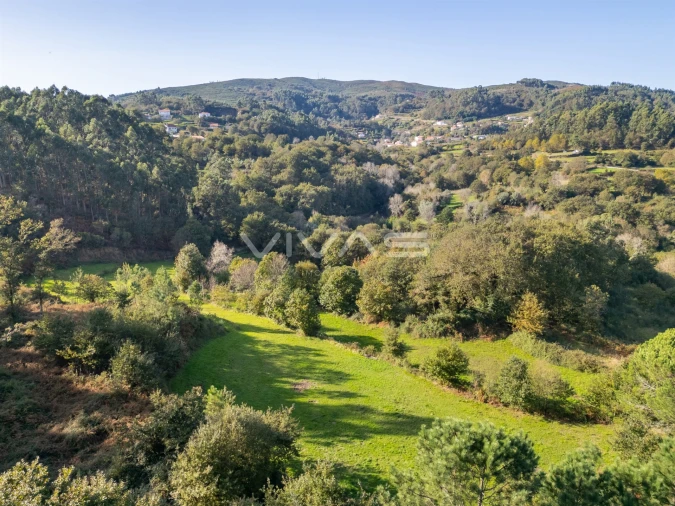 Terreno para Venda em Vade Foto 13