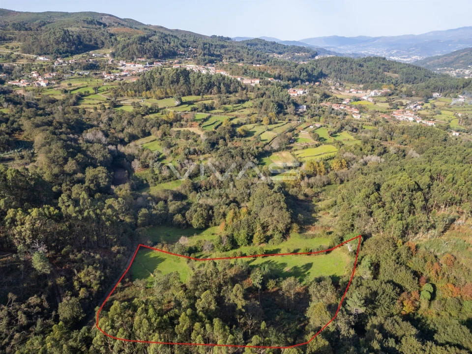 Terreno para Venda em Vade Foto 5