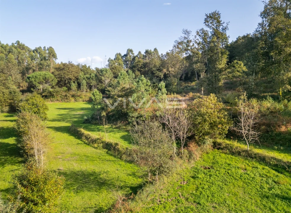 Terreno para Venda em Vade Foto 12