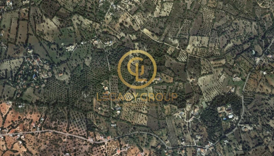 Prédio para Venda em Santa Barbara de Nexe Foto 8