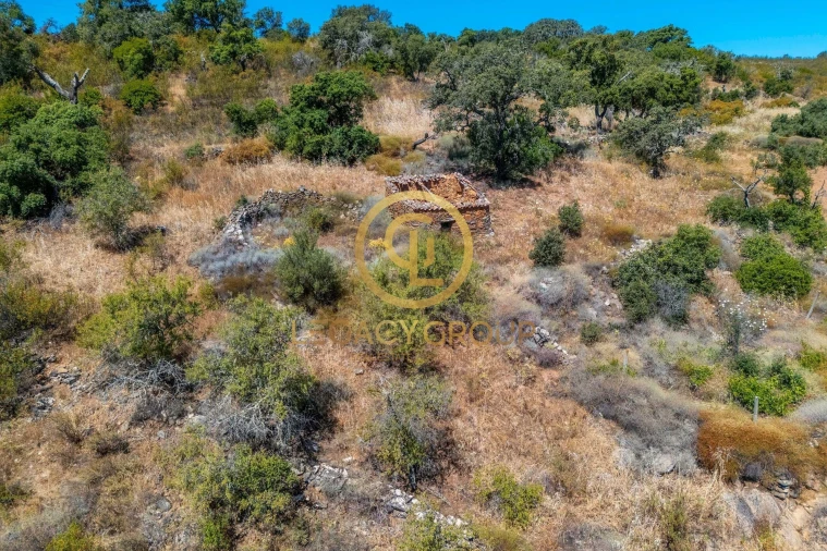 Quinta T0 para Venda em Cachopo Foto 8