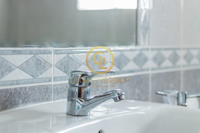 Quinta T9 para Venda em Algoz e Tunes Foto 11