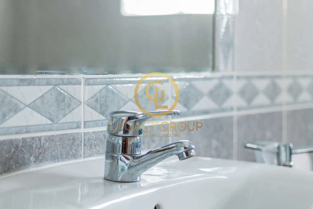 Quinta T9 para Venda em Algoz e Tunes Foto 11