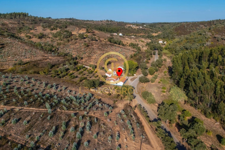 Quinta T3 para Venda em Luzianes-Gare Foto 14