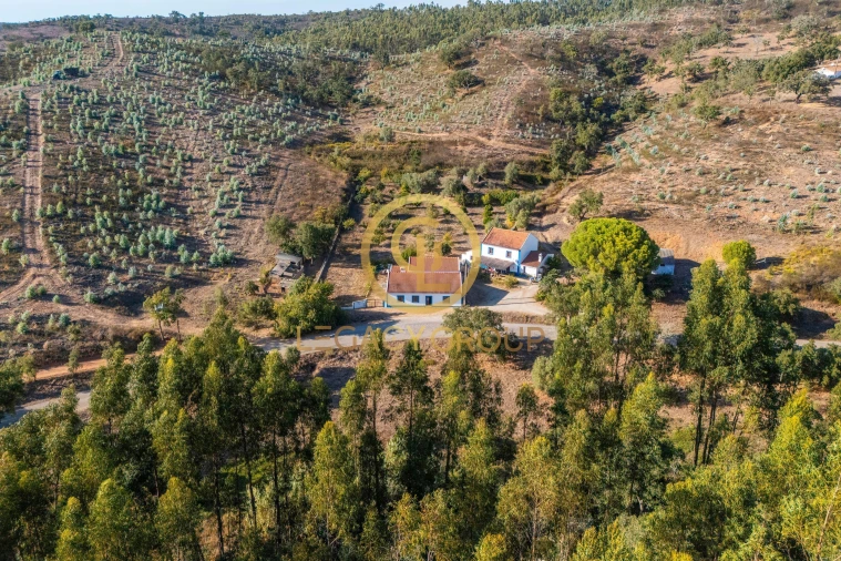 Quinta T3 para Venda em Luzianes-Gare Foto 12
