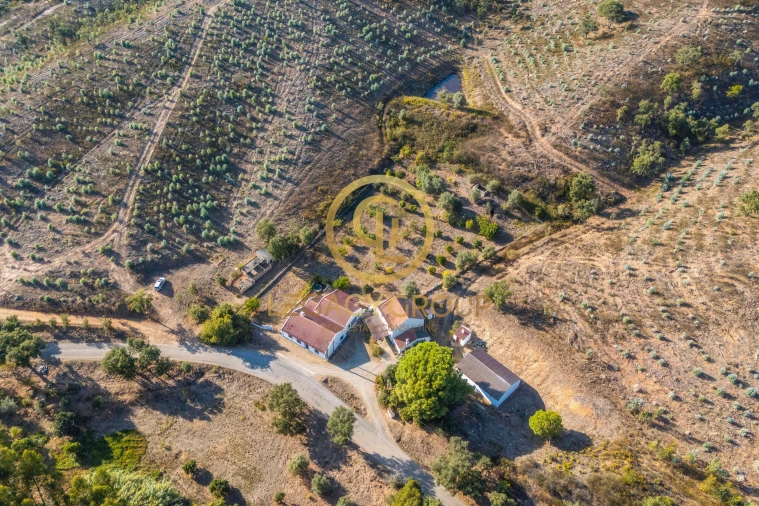 Quinta T3 para Venda em Luzianes-Gare Foto 5