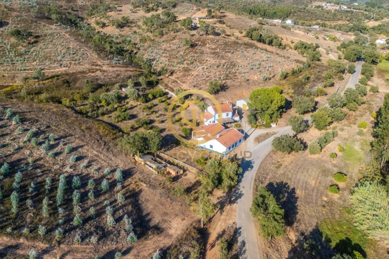 Quinta T3 para Venda em Luzianes-Gare Foto 16