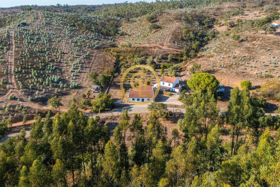 Quinta T3 para Venda em Luzianes-Gare Foto 12