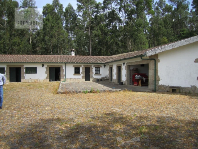 Quinta T7 para Venda em Roriz Foto 12