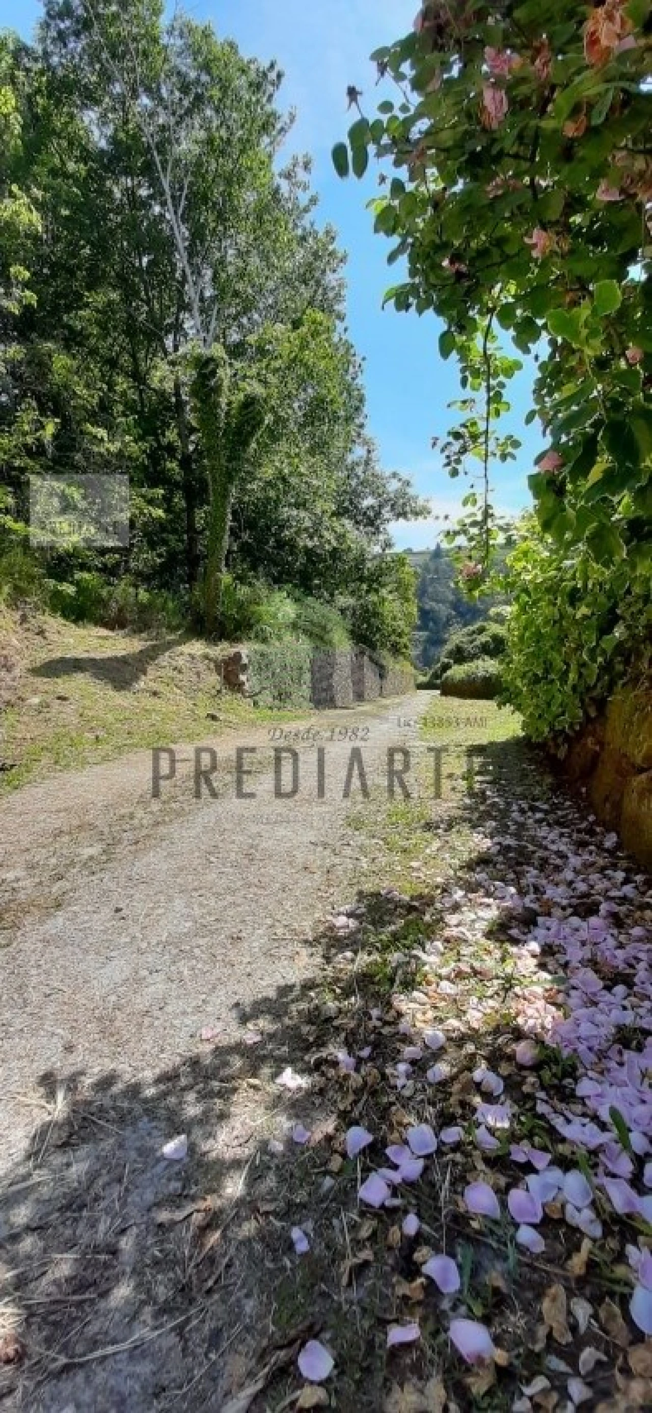 Quinta T9 para Venda em Santa Marinha do Zezere Foto 26