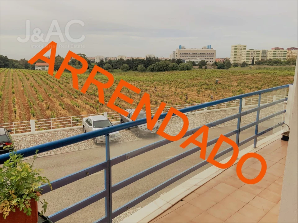 Apartamento T3 para Arrendamento em Oeiras e São Julião da Barra, Paço de Arcos e Caxias Foto 1
