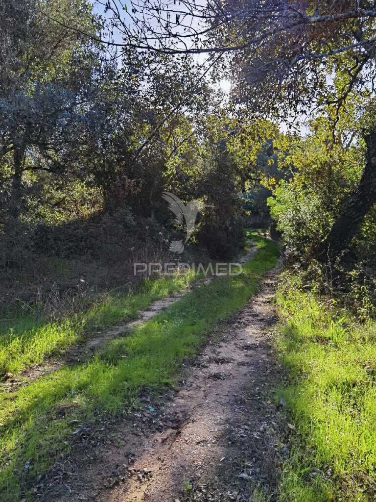 Terreno para Venda em Arneiro das Milhariças Foto 8
