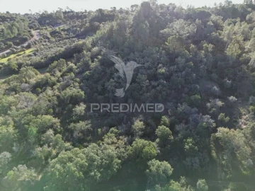 Terreno para Venda em Arneiro das Milhariças