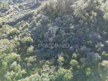Terreno para Venda em Arneiro das Milhariças